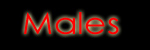 Male Exotic Dancers